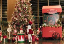 올해 크리스마스, 프리미엄·경험 중심 소비가 이끄는 연말 트렌드
